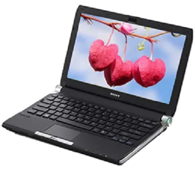 Замена материнской платы Sony VAIO VGN-TT1RVN/X