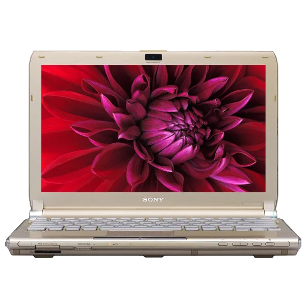 Замена материнской платы Sony VAIO VGN-TT4MRG