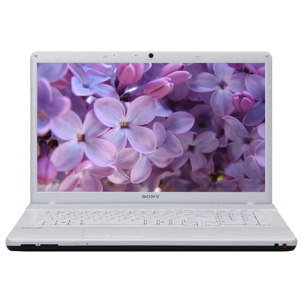 Замена материнской платы Sony VAIO VPC-EC1M1R/Wi